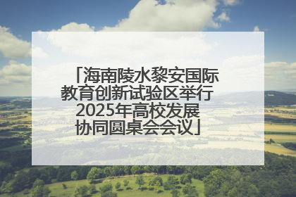 海南陵水黎安国际教育创新试验区举行2025年高校发展协同圆桌会会议