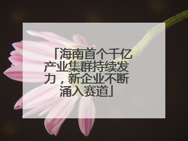 海南首个千亿产业集群持续发力，新企业不断涌入赛道