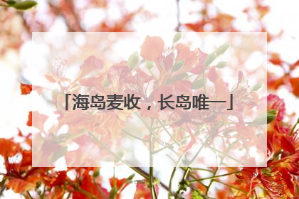 海岛麦收，长岛唯一
