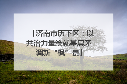 济南市历下区：以共治力量绘就基层矛调新“枫”景