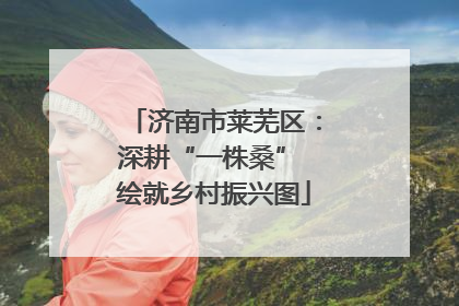 济南市莱芜区：深耕“一株桑” 绘就乡村振兴图