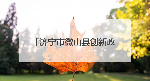 济宁市微山县创新政务服务 高效实现“一站式”便民利企