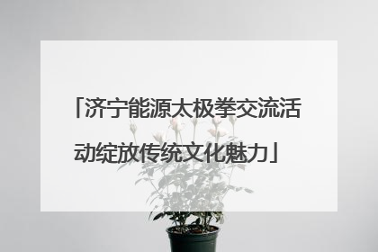 济宁能源太极拳交流活动绽放传统文化魅力