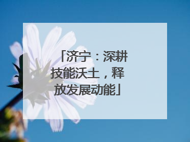 济宁：深耕技能沃土，释放发展动能