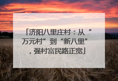 济阳八里庄村：从“万元村”到“新八里”，强村富民路正宽