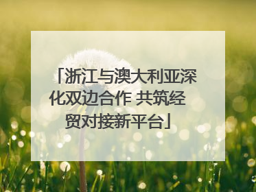 浙江与澳大利亚深化双边合作 共筑经贸对接新平台