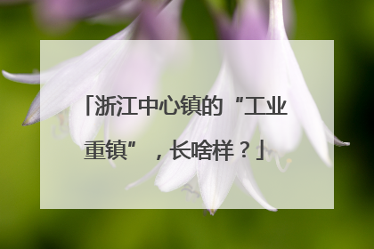 浙江中心镇的“工业重镇”，长啥样？