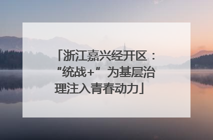 浙江嘉兴经开区：“统战+”为基层治理注入青春动力