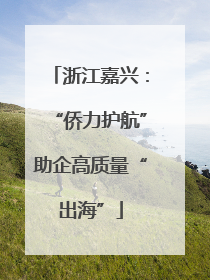 浙江嘉兴：“侨力护航”助企高质量“出海”