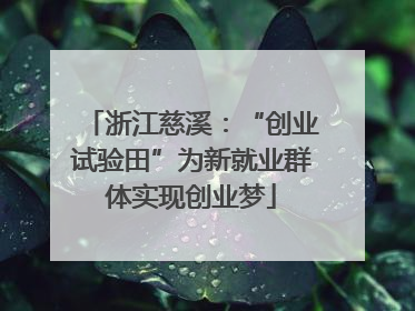 浙江慈溪：“创业试验田”为新就业群体实现创业梦