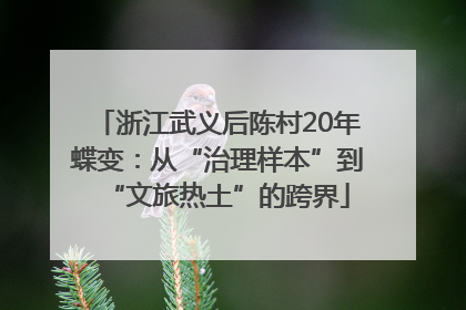浙江武义后陈村20年蝶变：从“治理样本”到“文旅热土”的跨界