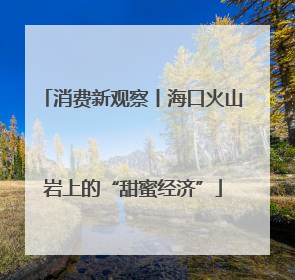 消费新观察丨海口火山岩上的“甜蜜经济”