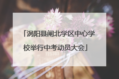 涡阳县闸北学区中心学校举行中考动员大会