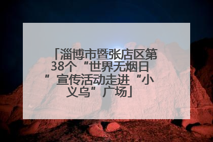 淄博市暨张店区第38个“世界无烟日”宣传活动走进“小义乌”广场