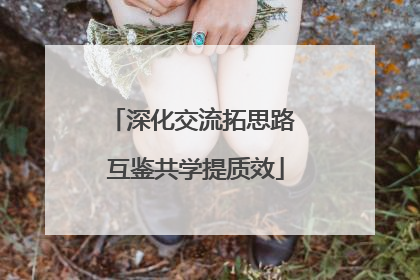 深化交流拓思路 互鉴共学提质效