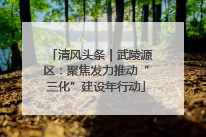 清风头条｜武陵源区：聚焦发力推动“三化”建设年行动