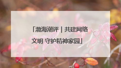 渤海潮评｜共建网络文明 守护精神家园