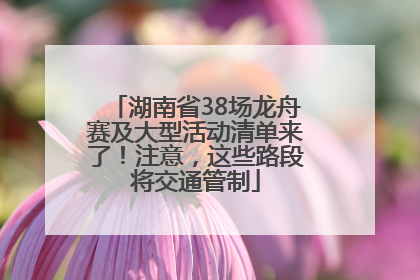 湖南省38场龙舟赛及大型活动清单来了！注意，这些路段将交通管制
