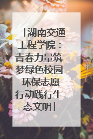 湖南交通工程学院：青春力量筑梦绿色校园 环保志愿行动践行生态文明