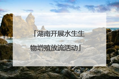 湖南开展水生生物增殖放流活动