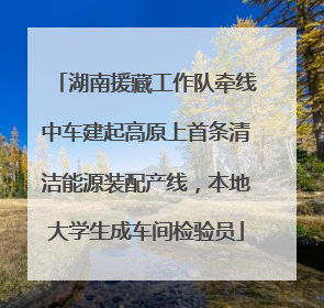 湖南援藏工作队牵线中车建起高原上首条清洁能源装配产线，本地大学生成车间检验员