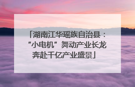 湖南江华瑶族自治县：“小电机”舞动产业长龙 奔赴千亿产业盛景