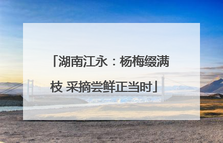 湖南江永：杨梅缀满枝 采摘尝鲜正当时