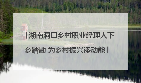 湖南洞口乡村职业经理人下乡踏勘 为乡村振兴添动能