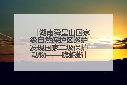 湖南舜皇山国家级自然保护区巡护发现国家二级保护动物——脆蛇蜥