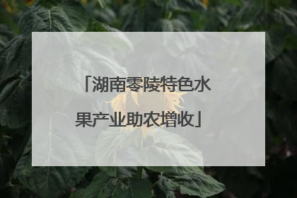 湖南零陵特色水果产业助农增收
