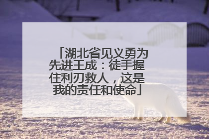 湖北省见义勇为先进王成：徒手握住利刃救人，这是我的责任和使命