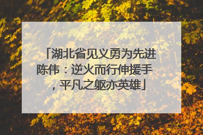 湖北省见义勇为先进陈伟：逆火而行伸援手，平凡之躯亦英雄