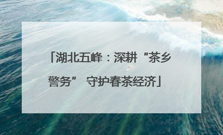 湖北五峰：深耕“茶乡警务” 守护春茶经济