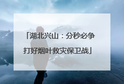 湖北兴山：分秒必争 打好烟叶救灾保卫战