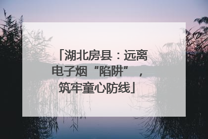 湖北房县：远离电子烟“陷阱”，筑牢童心防线