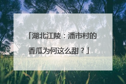 湖北江陵：潘市村的香瓜为何这么甜？