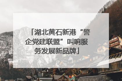 湖北黄石新港“警企党建联盟”叫响服务发展新品牌