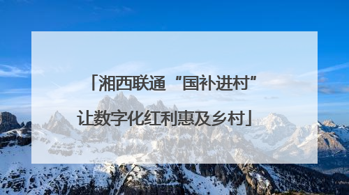 湘西联通“国补进村”让数字化红利惠及乡村