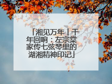 湘见万年丨千年回响：左宗棠家传七弦琴里的湖湘精神印记