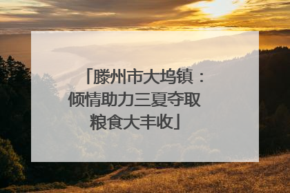 滕州市大坞镇：倾情助力三夏夺取粮食大丰收