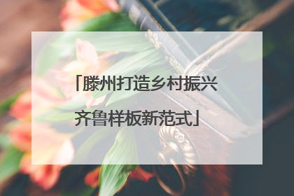 滕州打造乡村振兴齐鲁样板新范式
