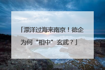 漂洋过海来南京！德企为何“相中”玄武？