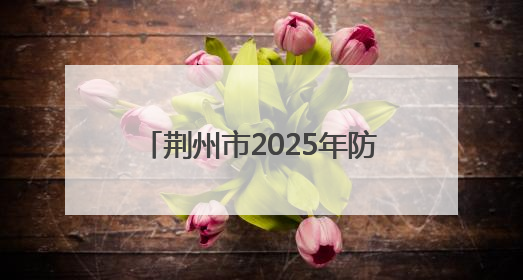 荆州市2025年防汛应急综合演练举行