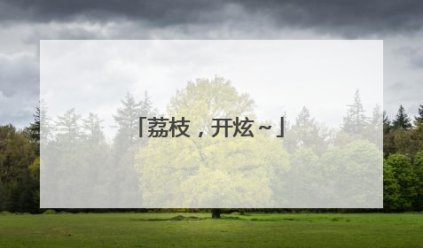 荔枝，开炫～