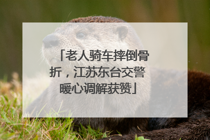 老人骑车摔倒骨折，江苏东台交警暖心调解获赞