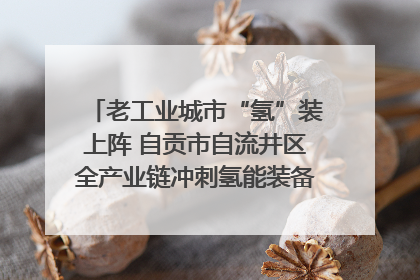 老工业城市“氢”装上阵 自贡市自流井区全产业链冲刺氢能装备制造新高地｜美好生活有“盐”味
