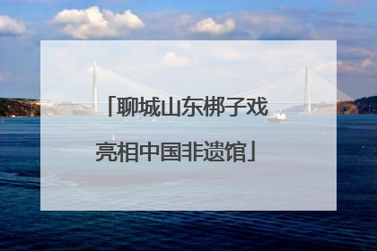 聊城山东梆子戏亮相中国非遗馆