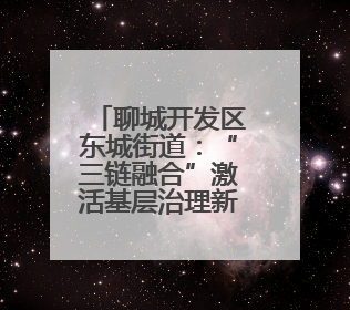 聊城开发区东城街道：“三链融合”激活基层治理新动能