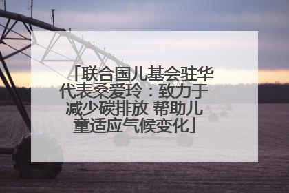 联合国儿基会驻华代表桑爱玲：致力于减少碳排放 帮助儿童适应气候变化