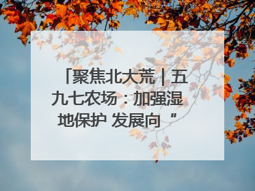 聚焦北大荒｜五九七农场：加强湿地保护 发展向“绿”而行